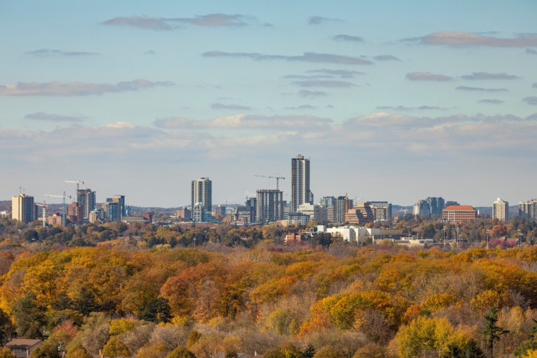 A view of the Kitchener skyline, with tall buildings and cranes, and orange autumn trees in the foreground.