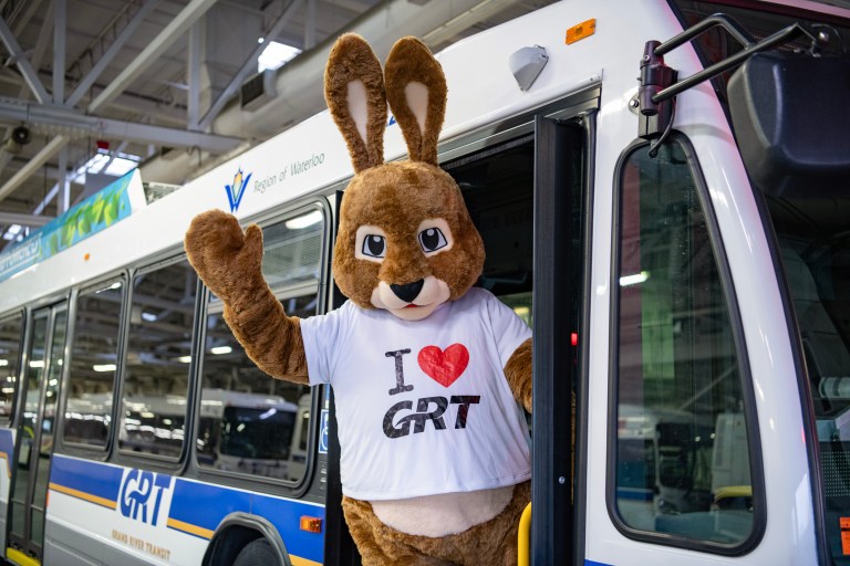 Stuffed rabbit mascot waves from a GRT bus.