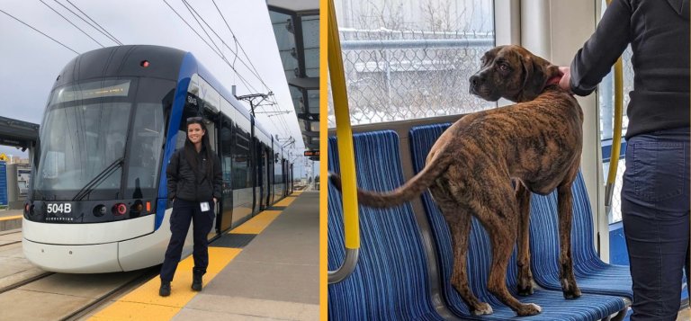 An operator stands outside an ION train, plus a photo of a lost dog inside the ION.