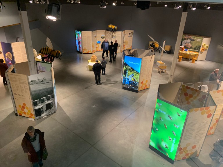 An overhead view of the BEES! museum exhibit.