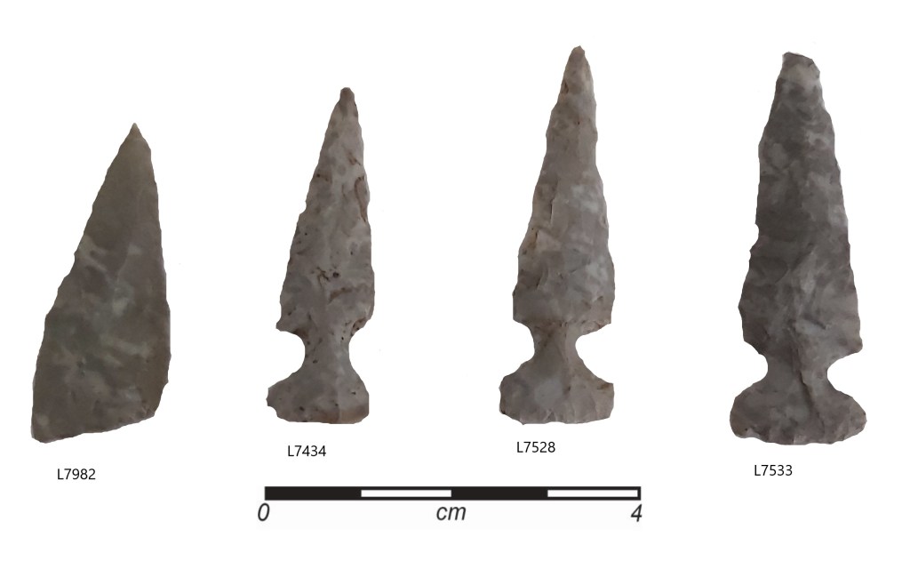 A photo of several arrow-head shaped stones.