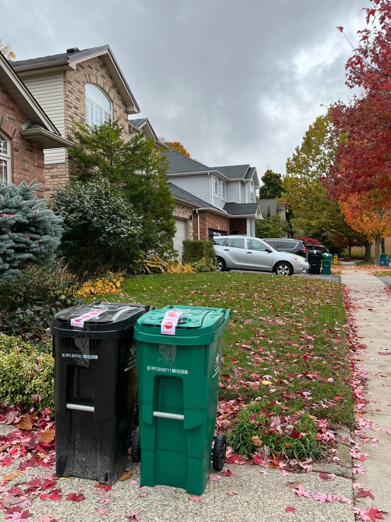 A set of new black and green waste carts at the end of a driveway.